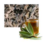 Salvei tee 50g